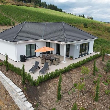 Neu - Premium-Ferienhaus Mosel-Sonne 트라벤트라바흐 외부 사진