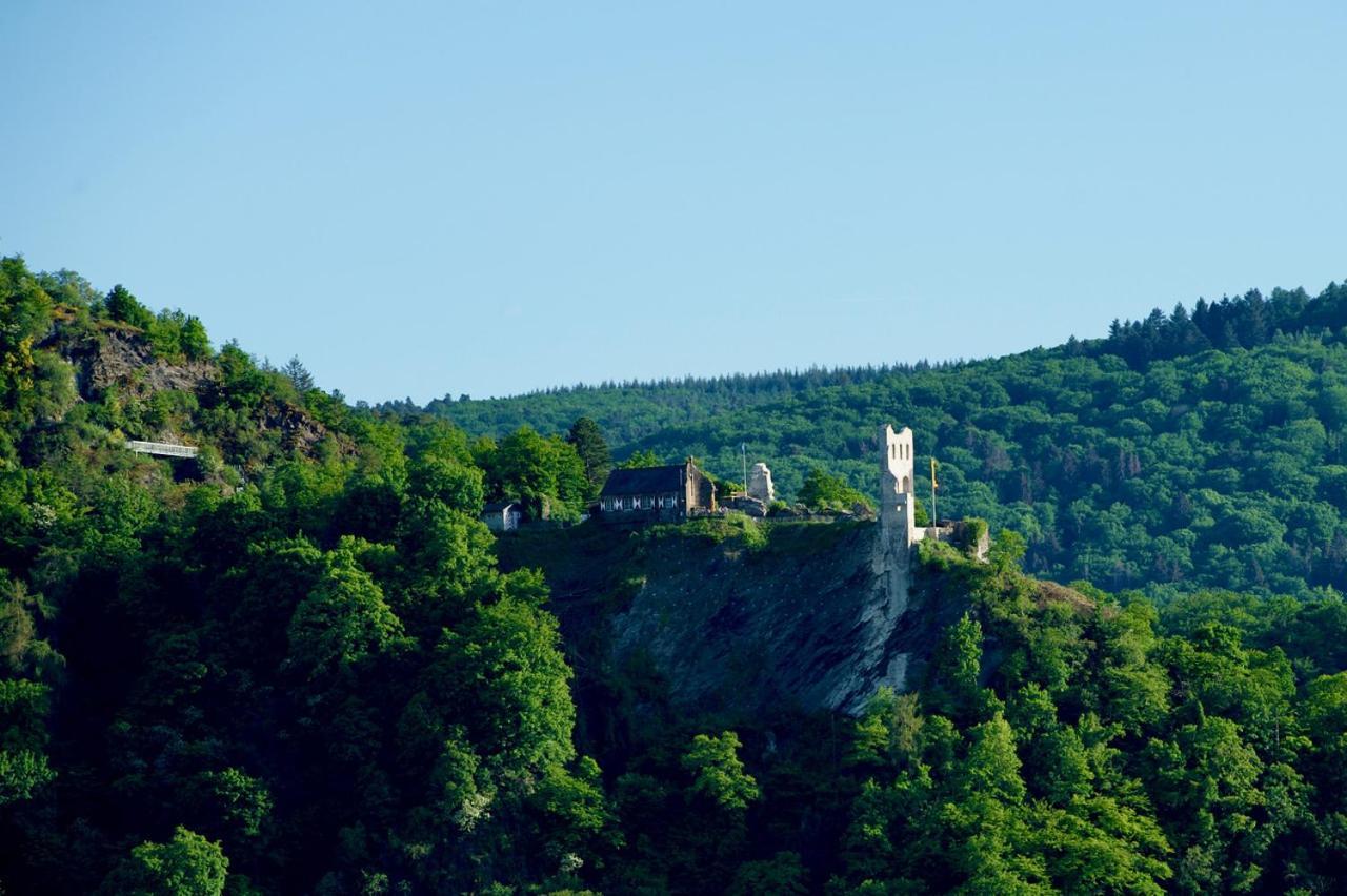 Neu - Premium-Ferienhaus Mosel-Sonne 트라벤트라바흐 외부 사진