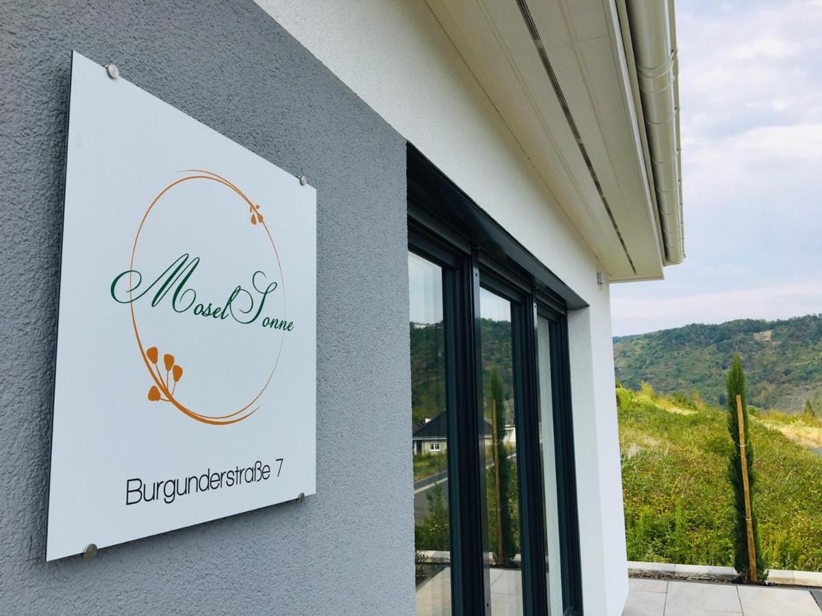 Neu - Premium-Ferienhaus Mosel-Sonne 트라벤트라바흐 외부 사진