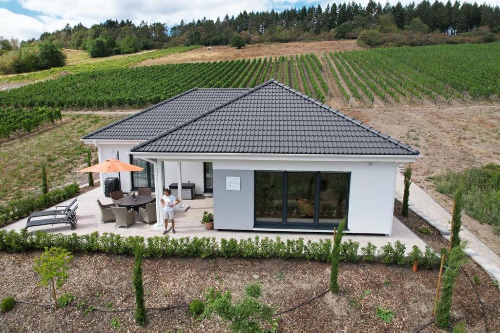Neu - Premium-Ferienhaus Mosel-Sonne 트라벤트라바흐 외부 사진