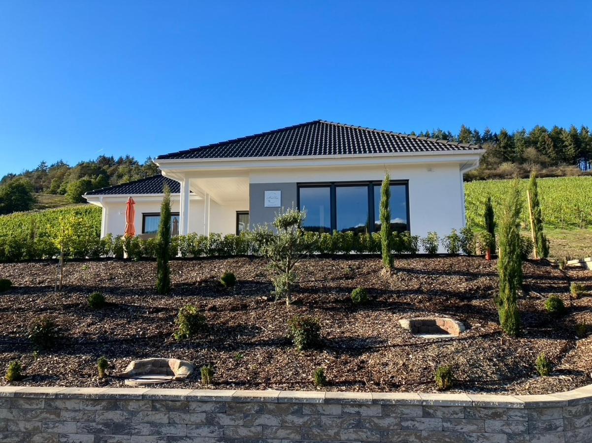 Neu - Premium-Ferienhaus Mosel-Sonne 트라벤트라바흐 외부 사진